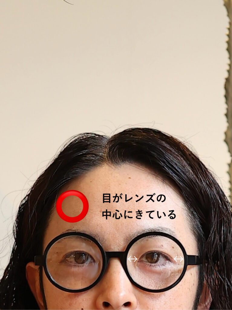 丸めがね　まるめがね　丸眼鏡　ラウンドフレーム　ラウンド　サングラス　眼鏡　鯖江　国産フレーム　フランス　ANNE ET VALENTIN 　　 ENALLOID　MAL　メタルフレーム　セルフレーム　大きめ